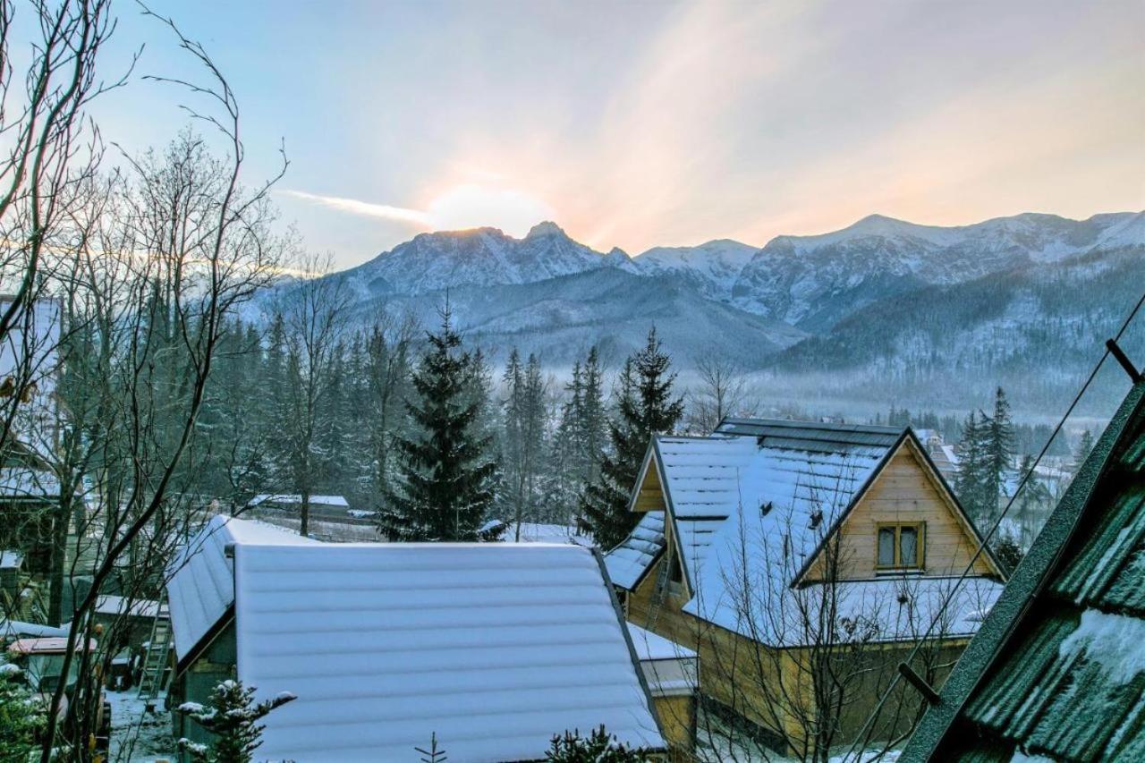Zakohome- Apartament Snowdancer Kościelisko Εξωτερικό φωτογραφία